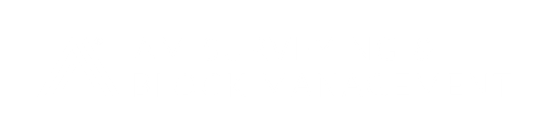 AM Surveying & Block Management