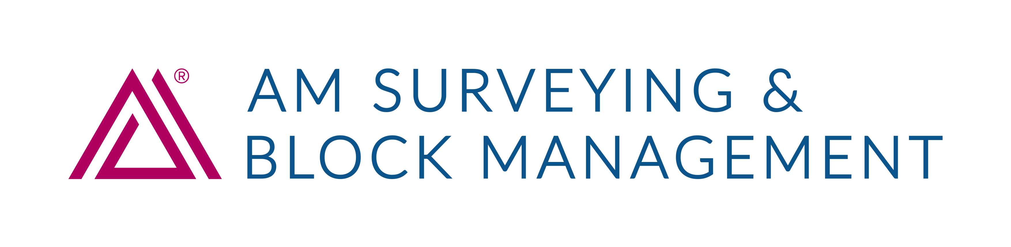 AM Surveying & Block Management